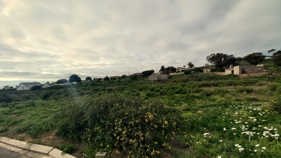 0 Bedroom Property for Sale in Steenbergs Cove Western Cape